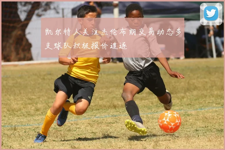 凯尔特人关注杰伦布朗交易动态多支球队积极报价追逐