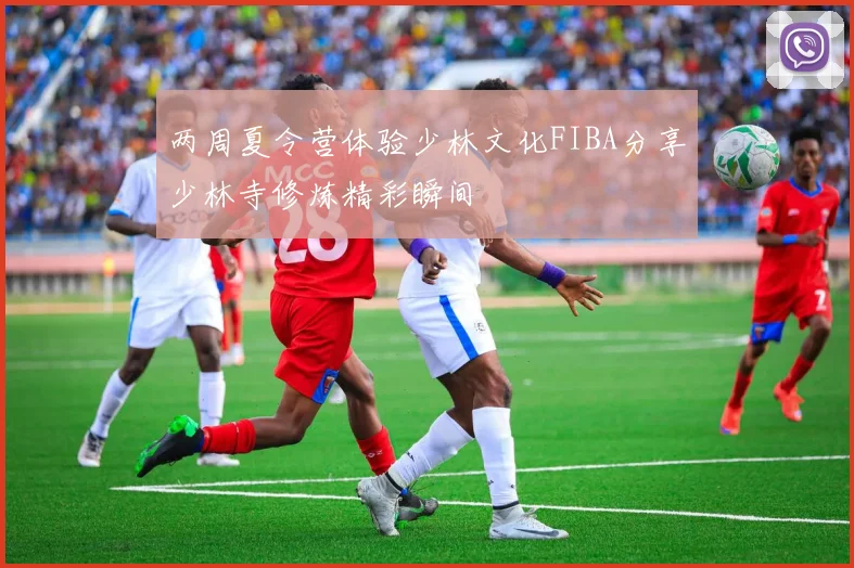 两周夏令营体验少林文化FIBA分享少林寺修炼精彩瞬间