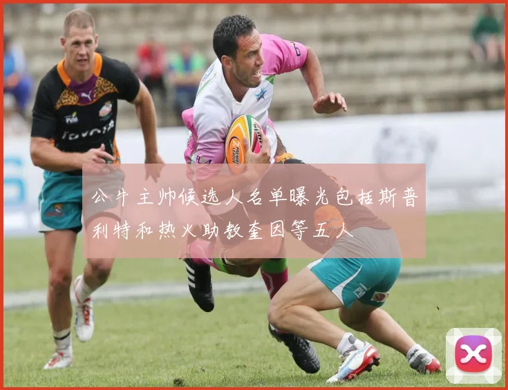 公牛主帅候选人名单曝光包括斯普利特和热火助教奎因等五人